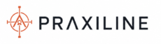 Praxiline